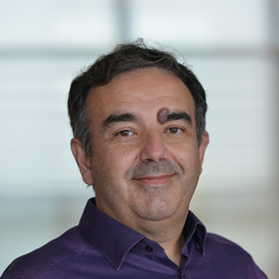 Vitor Lavinas
