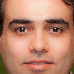 Mehdi Mohassesian's profile picture
