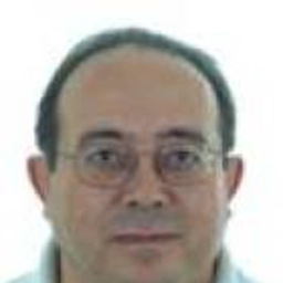 Francisco pache Peregrina