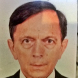 Werner Johannes Schreiber