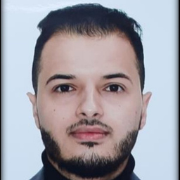 Faouzi Alsaour's profile picture