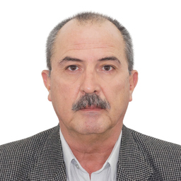 Prof. Guillermo Collarte Castro