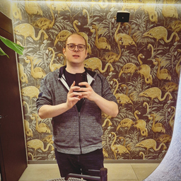 Hannes Holstein's profile picture
