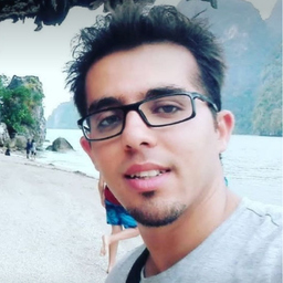 Hani Shafiei