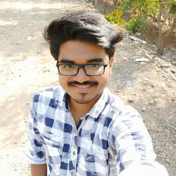 Ing. Mangesh Raut