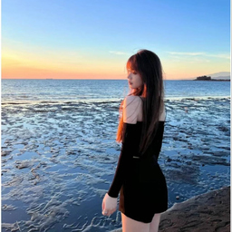Jia Qi Wang