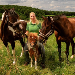 Pia Wilken's profile picture