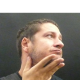 Víctor Palau Torres