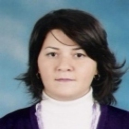 Deniz Uygan's profile picture