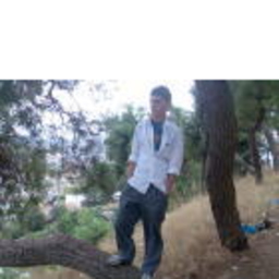 Mustafa Kaya