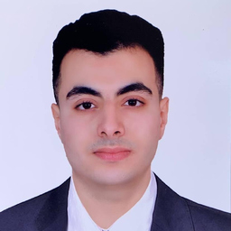 Mahmoud Nour