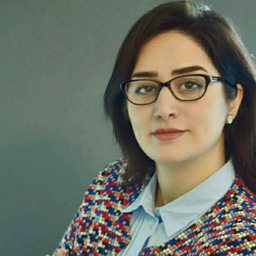 M. Sc. Eng. Sara Lotfi