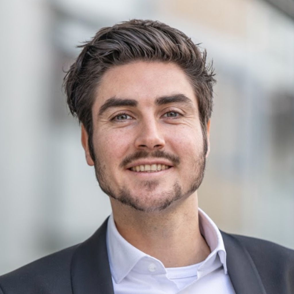 Dimitri Haußmann Geschäftsführer Dimitri Haussmann Consulting XING