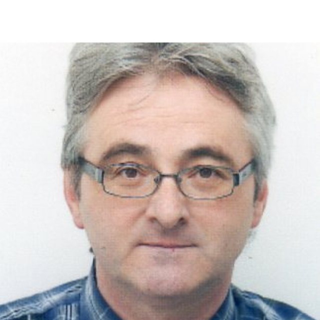 Davor Topic Deutsch als Fremdsprache Inlingua XING