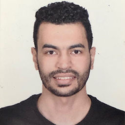 Ing. Mohamed  Nasr