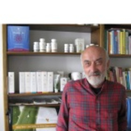 Heinz Schmidt