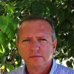 Massimo Perini