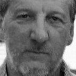 Heinz H. Schmitz