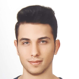 Hakan Sahin