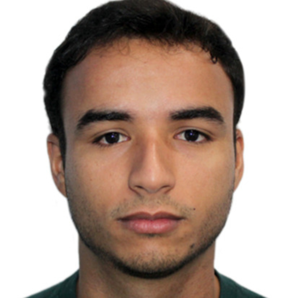 Daniel Moya CuriousInc CuriousInc XING