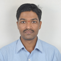 Ing. Ravikumar Salimath