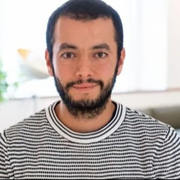 Danilo Brkić