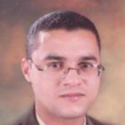 Hussein Shehata