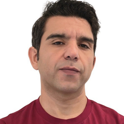 Mohammadmehdi Shafizadeh