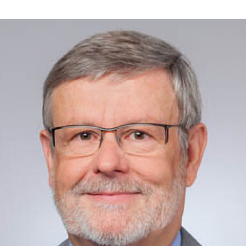 Werner Fleischmann Inhaber Fleischmann Immobilien AG XING