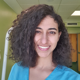 Maggie Fahim