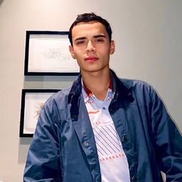 Prof. Dr. Fabián Andrés  Pardo Ruiz