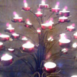 Edmeo Evangelisti