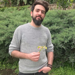 Sercan Gören