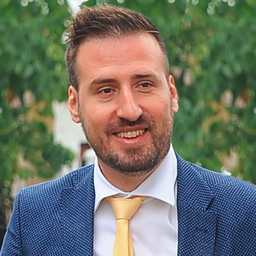 Miroslav Lilic's profile picture