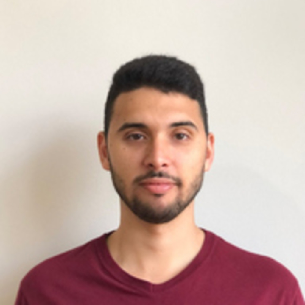 Luann sapucaia it software developer aubay xing