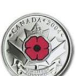 Poppy Remembrance Day