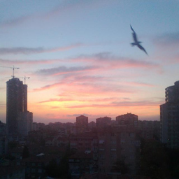 Selay Demiray