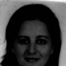 Dilek Öztulu