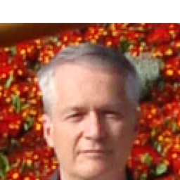 Miroslav Bogdanovic