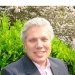 Ing. Marco Fregonese