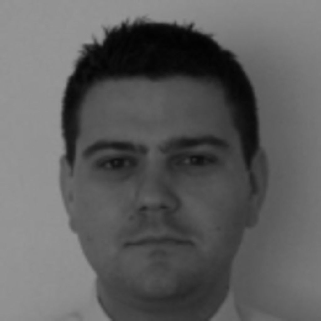 Ion Tarasescu Senior Consultant Deloitte XING