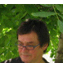 Asim Dzino