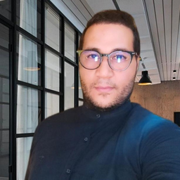 hamza abidi
