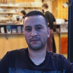 Ala Eddine Ferjani