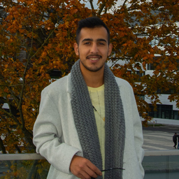 Weam Nasr
