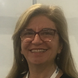 Ligia Mezher Silva
