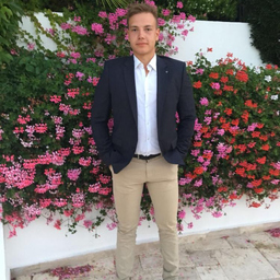 Nils Leon Lapp