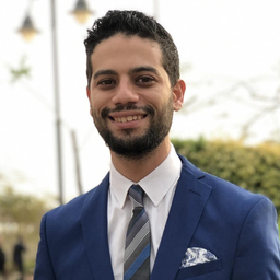 Ahmed Abdeldayem