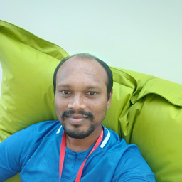 Elayaraja Dhanapal