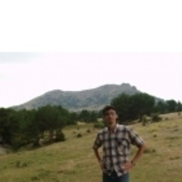 İsmail Erim
